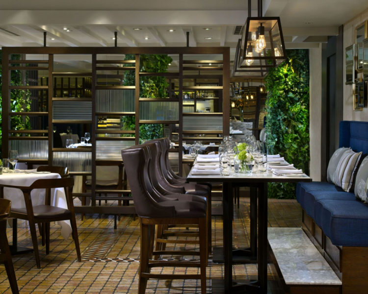 Saturday Premium Semi-buffet Lunch at Theo Mistral
