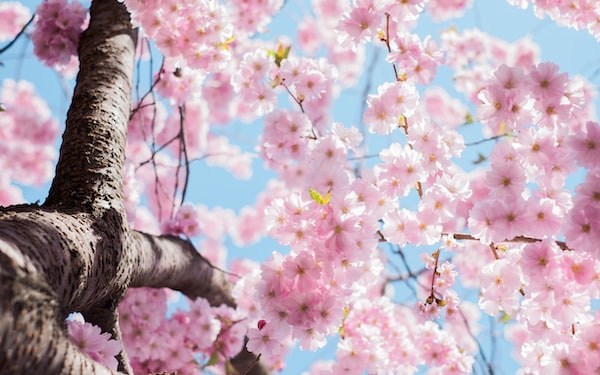 Let's March Into Spring!